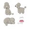 Set of cute poodle illustration in different poses.