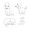 Set of cute poodle illustration in different poses.