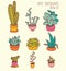 Set of cute potted plants