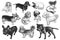 Set of cute puppies. Hand-made black and white drawing of dogs