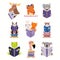 Set of cute reading animals