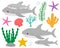 Set cute shark and sea elements algae corals seashell starfish vector illustration