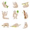 Set of cute sloths in different poses and various emotions isolated on a white background