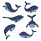 Set of cute smile blue whales. Hand drawn vector
