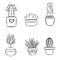 Set of cute succulents plants in pots