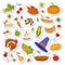 Set of Cute Thanksgiving icons