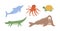 Set of cute underwater animals. Octopus, dolphin, turtle, crocodile and walrus. Collection of marine mammals isolated on