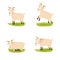 Set of cute vector goats