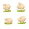 Set of cute vector lambs