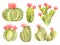 Set with cute watercolor blooming cactus