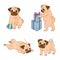 Set of cute watercolor pugs isolated on white.