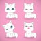 Set of cute white cats flat icons pet design collection isolated over white background.