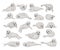 Set of cute white fur seal animals. Mammal marine animals cartoon vector illustration