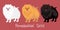 set of cute white, orange and dark isolated on red background dog breed Pomeranian isolated Colorful vector Illustration