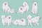 Set of cute white samoyed breed dogs. Vector graphics