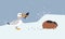 Set of cute wild polar animals. Seagull and wolverine mammal and bird vector illustration