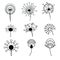 Set of dandelions. Collection of stylized dandelions. Decorative flowers. Black and white drawing. Flower bud logo