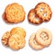 Set of danish butter cookies macro cutout. Five whole pretzel, round and rectangular shortbread biscuits with sugar isolated