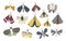 Set of dark colored doodle moths isolated on white background. Nights butterflies hand drawn collection. Colorful vector