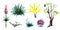 Set of decorative elements. Garden flowering plants, flowers and shrubs. Birdhouse on a stalk, Black birds starlings.