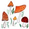 Set decorative mushrooms, colorful hallucinogenic amanita, isolated on white background.