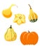 Set of decorative pumpkins in the style of flat