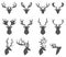 Set of a deer head silhouette on white background