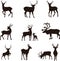 Set of deer silhouettes (9 pieces)