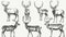 A set of deer sketches in a retro realistic style depicting reindeer, stags, antlers. A detailed illustration of a wild