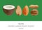 Set of delicious and healthy nuts. Coconut, almonds, walnuts, peanuts. Vector illustration. Keto diet