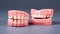 A set of dentures. Closeup of dental prosthesis. Model of human teeth and dentures.