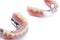 Set of dentures on white background