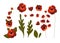 Set for design in the form of isolated elements. Red, dark red flowers, green leaves and inflorescences. Peonies, carnations,