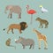 Set Of Different African Animals. Animals of the African savanah lioness, elephant, rhinoceros, giraffe, flamingo