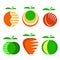 Set of Different Apple Fruit Icons Isolated