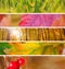 Set of Different Autumn Banners for Internet, beautiful Autumn