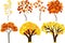 Set of different autumn trees with yellowed leaves