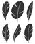 Set of different bird wing feathers. Flying quills symbols. Vector image