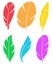 Set of different bird wing feathers. Flying quills symbols. Vector image