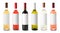 Set with different blank wine bottles on white background.