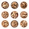 Set of different bowls with dried mushrooms on white background