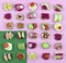 Set of different bruschetta sandwiches with beet hummus, guacamole, different vegetables. vegetarian helsifood concept. summer