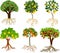 Set of different cartoon fruit trees with ripe fruits and root system