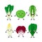 Set of different cartoon green salat leaves characters