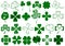 Set Of Different Clovers Set