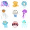 Set of different color flat jellyfish icons