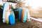 Set of different color surf boards in a stack by ocean.Bali.Indonesia. Surf boards on sandy beach for rent. Surf lessons on Canggu