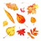 Set of different colorful autumn leaves. Hand drawn watercolor stylized sketch illustration
