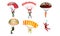 Set of different colorful skydivers. Vector illustration in flat cartoon style