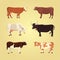 Set of different cows, . Vector illustration. Eps 10.